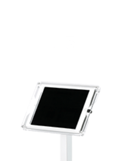 T5